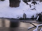 DSCN5319.JPG