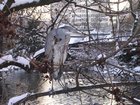 DSCN5320.JPG