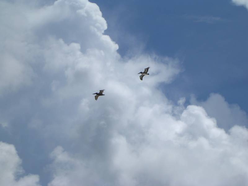 DSCN1516.jpg