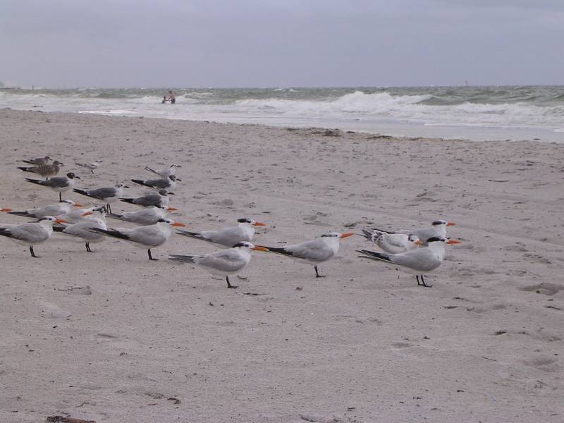DSCN1610.jpg