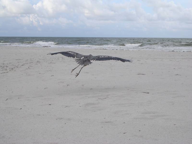 DSCN1658.jpg