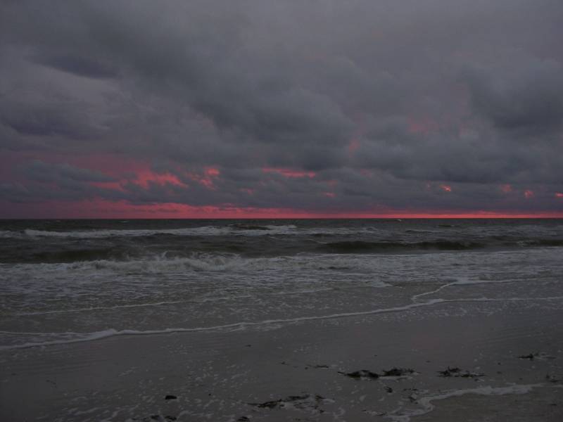 DSCN1669.jpg
