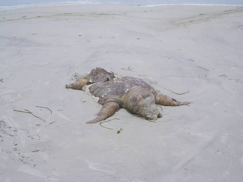 DSCN1676.jpg