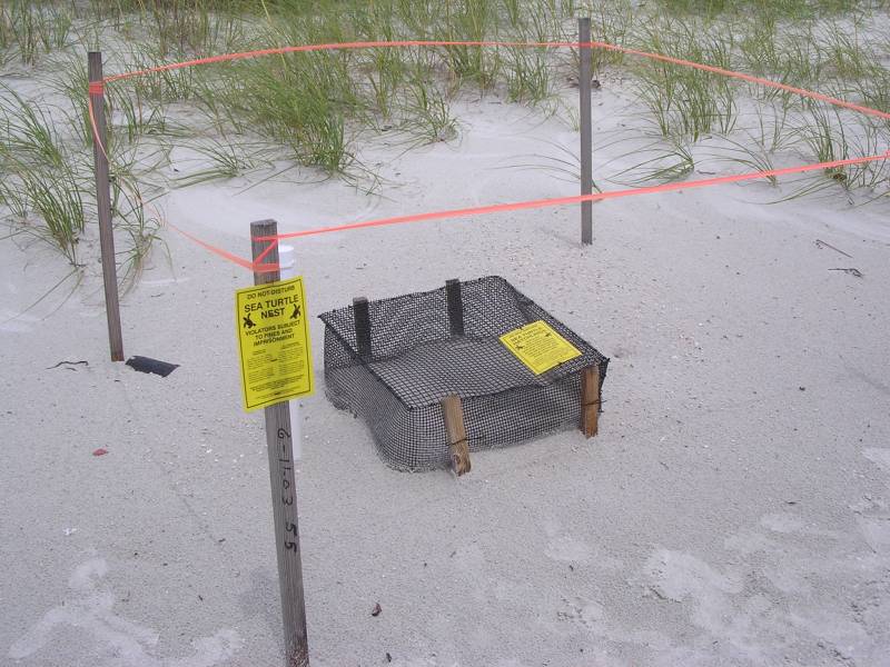 DSCN1679.jpg
