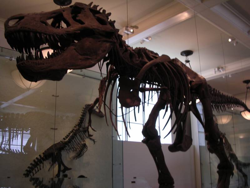 DSCN1153.jpg