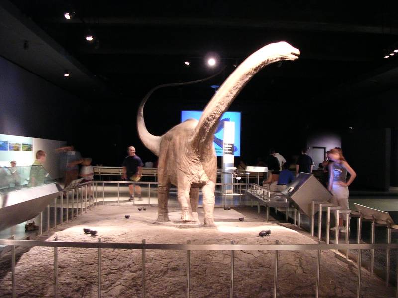 DSCN1157.jpg